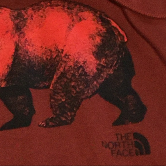 The North Face Pullover Hoodie Hooded Sweatshirt Sweater Mens Sz S Red New NWT - Picture 4 of 8